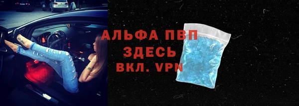 индика Бугульма