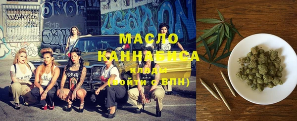 амф Бородино