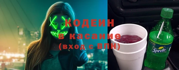 индика Бугульма