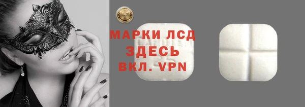 индика Бугульма