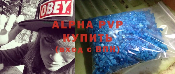 амф Бородино