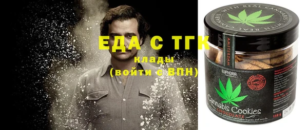 индика Бугульма