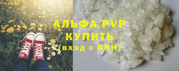 индика Бугульма