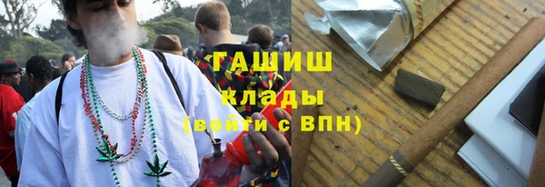 амф Бородино