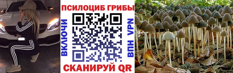 Псилоцибиновые грибы GOLDEN TEACHER  Кодинск 
